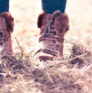 Image Sample 4