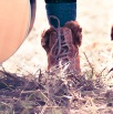 Image Sample 7